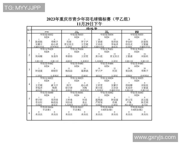 重庆羽毛球队荣登羽毛球比赛经验排行榜首位的背后故事与启示